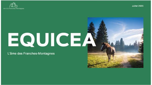 EQUICEA - Projet de Centre d'interprétation des Franches-Montagnes